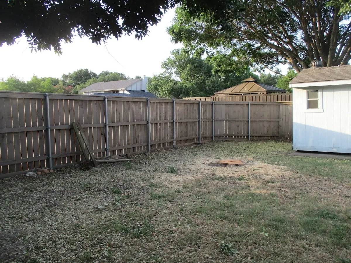 Cleared yard after professional tree removal in Wilmont